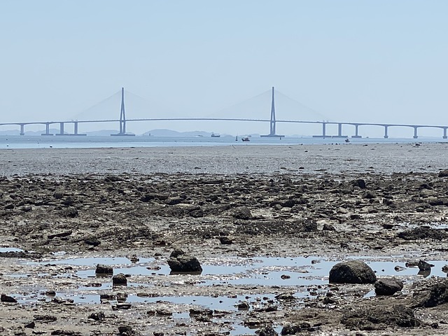 Free Incheon Bridge Foreshore photo and picture