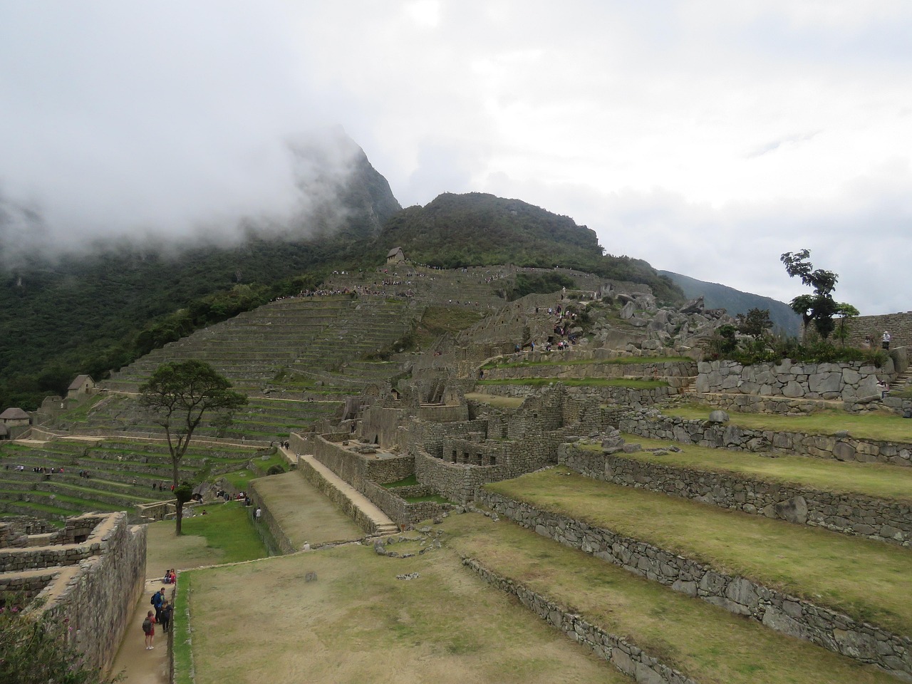 Machu Picchu Cusco Free photo on Pixabay Pixabay
