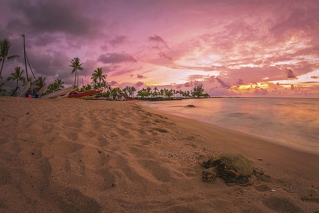 Free Hawaii Big Island photo and picture