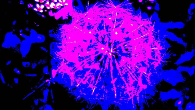 Free Magic Flower photo and picture