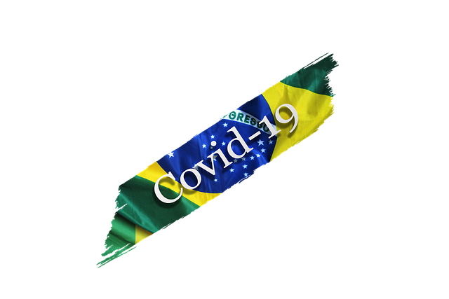Free brazil corona coronavirus illustration