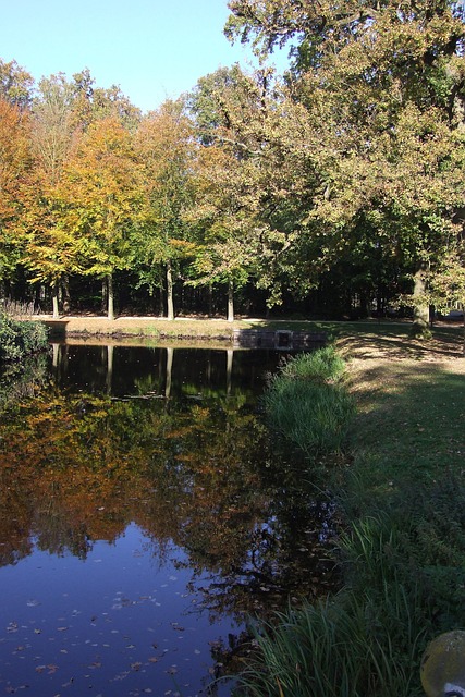 Free Autumn Ven photo and picture