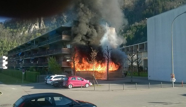 Free Burning House Fire photo and picture