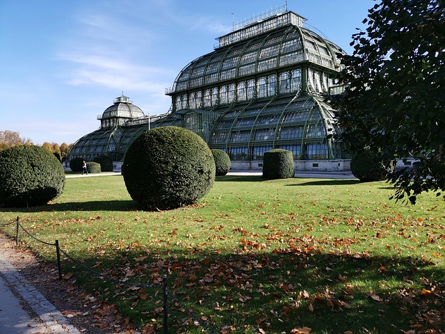 Free Palm House Beautiful Well photo and picture