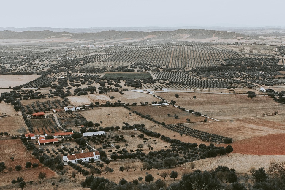 Discovering Alentejo: A Journey Through Portugal’s Hidden Gem