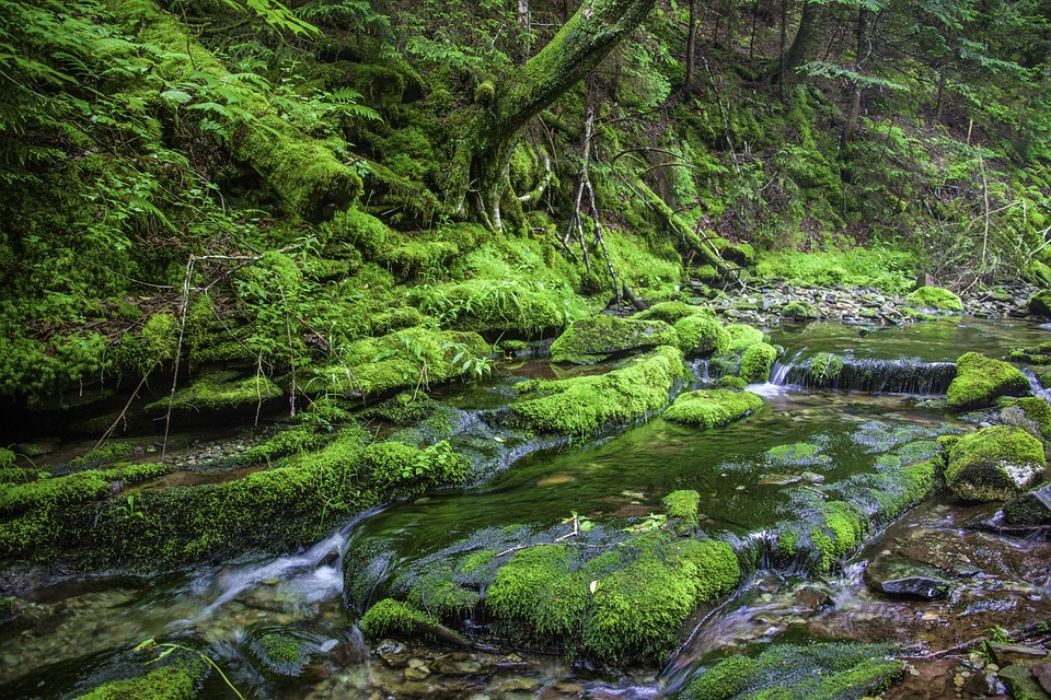 Stream Nature. Examples Nature Water Stream - Free photo on Pixabay