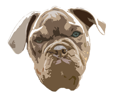 Bulldog, Hund, Hundehvalp, Kæledyr, Sød