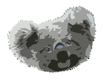 Koala, Bjørn, Australien, Sød, Dyr, Træ