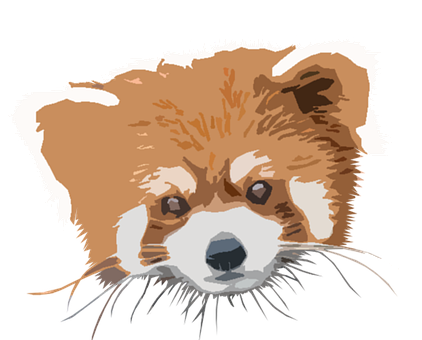 Rød Panda, Bjørn, Panda, Pattedyr, Zoo