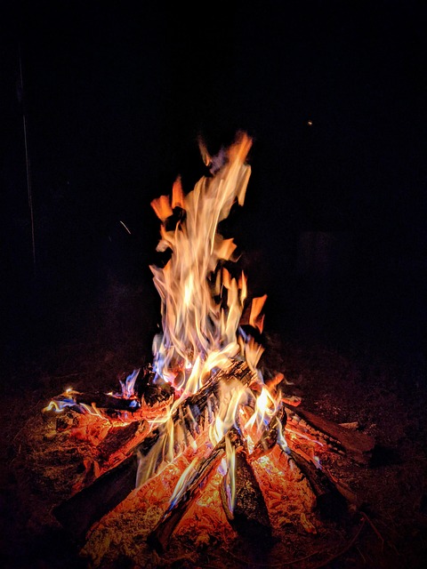 Free Campfire Fire photo and picture