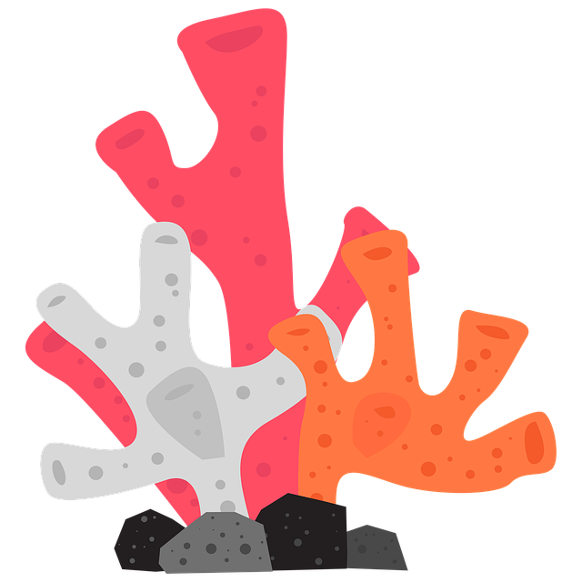 Free coral aquarium ornament illustration