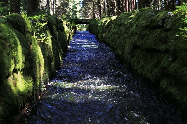 Schwarzenberg Canal De Navegación, Junio