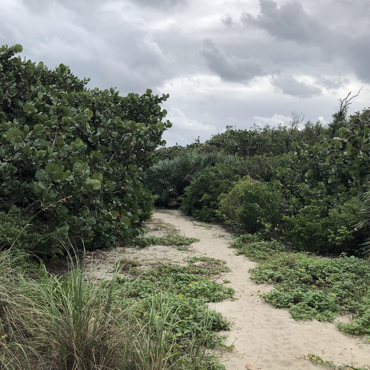 Jensen Beach Fl Ocean Free photo on Pixabay Pixabay