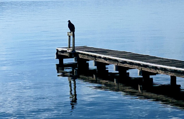 Free Dock Water photo and picture