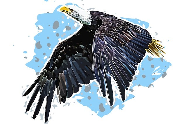 Free animal bird adler illustration