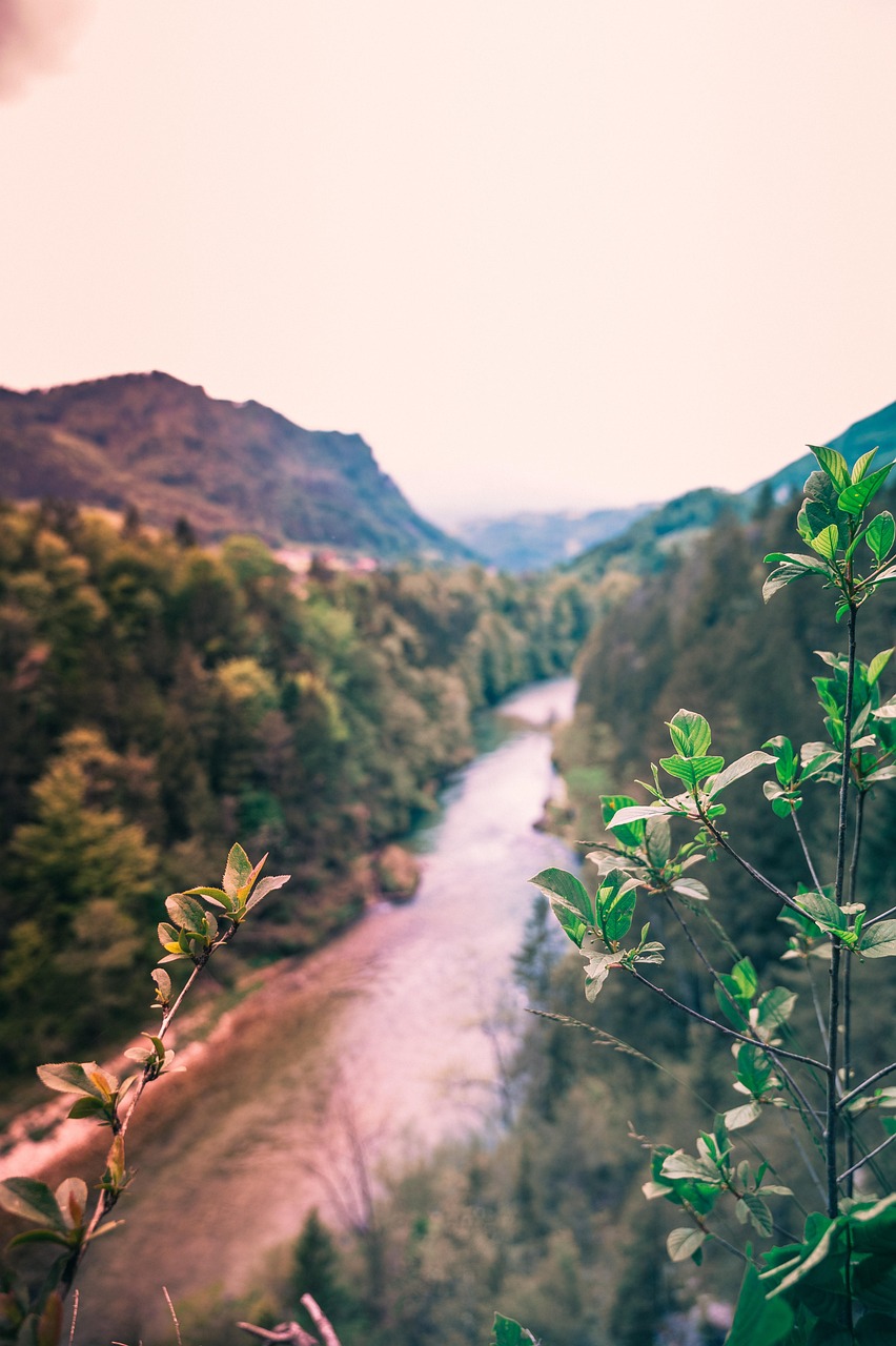 Free Mountains Trees photo and picture