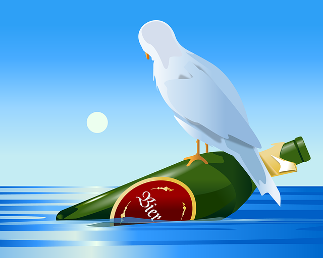 Free bottle sea seagull illustration
