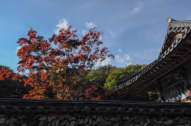 Buddhismus, Tempel, Asiatische, Asien