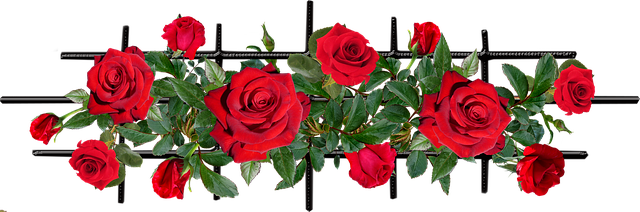 Free flowers red roses illustration
