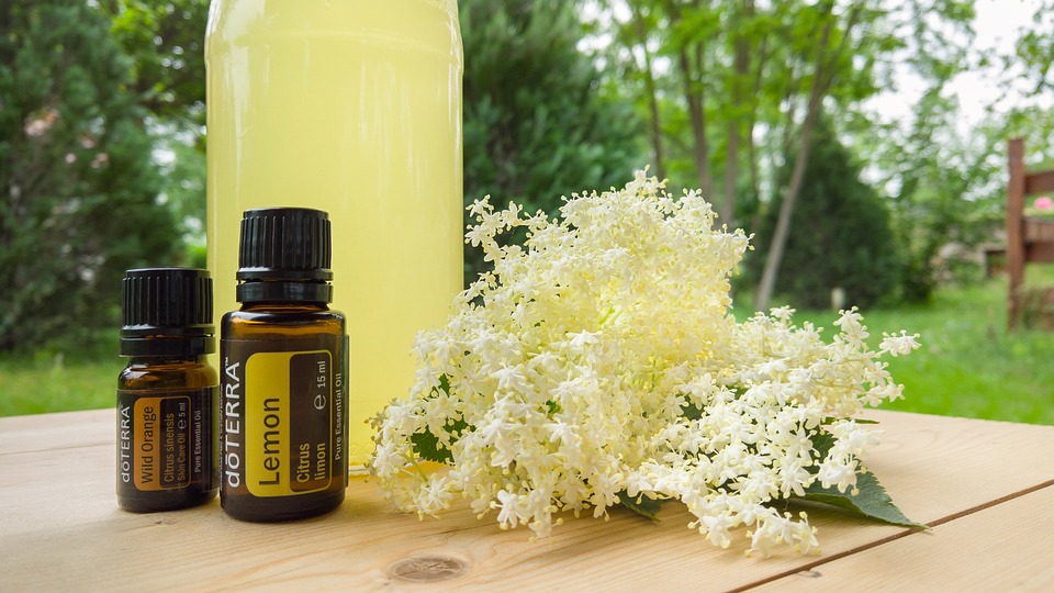 Essential Oil Doterra - Free photo on Pixabay - Pixabay