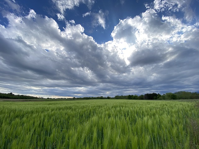 Free Clouds Thunderclouds photo and picture