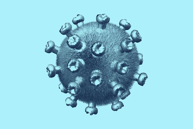 Download free HD stock image of Covid-19 Coronavirus Free covid-19 coronavirus virus illustration