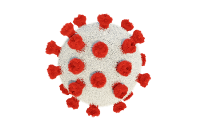 Download free HD stock image of Covid-19 Coronavirus Free covid-19 coronavirus virus illustration
