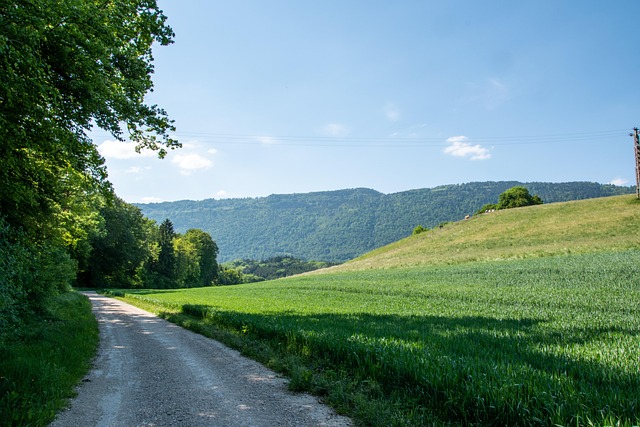 Free Landscape Rural photo and picture