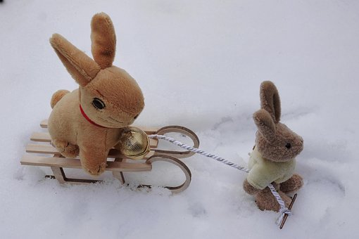 Free Easter Easter Bunny photo and picture