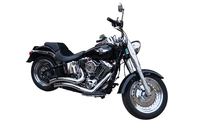 Harley, Moto, Transporte, Motociclista