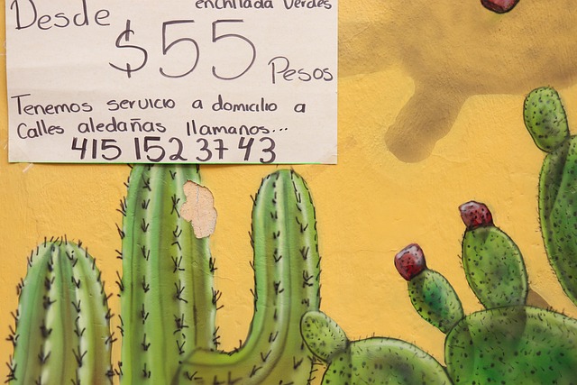Free Cactus Sign photo and picture
