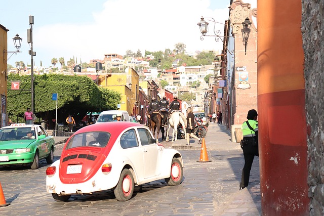 Free Volkswagen Beetle photo and picture