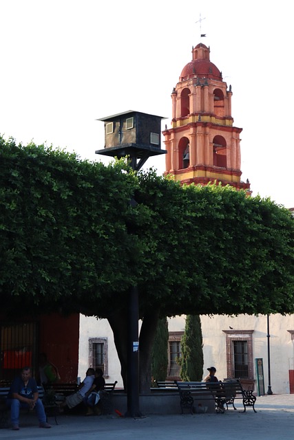 Free Tree Tower photo and picture