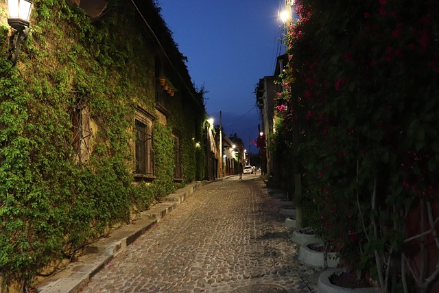 Free Street Night photo and picture