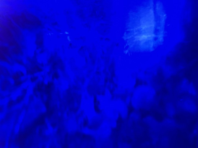 Bleu Bouteille Bleue Photo gratuite sur Pixabay Pixabay