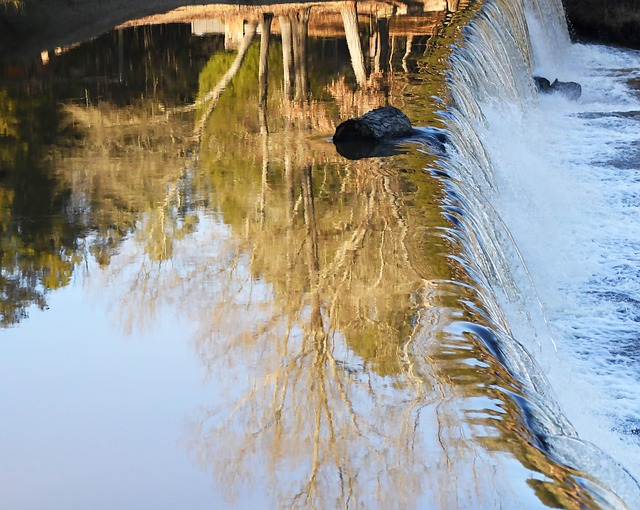 Free Water Reflection photo and picture