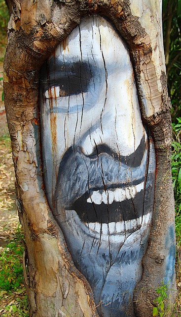 Free Tree Graffiti photo and picture