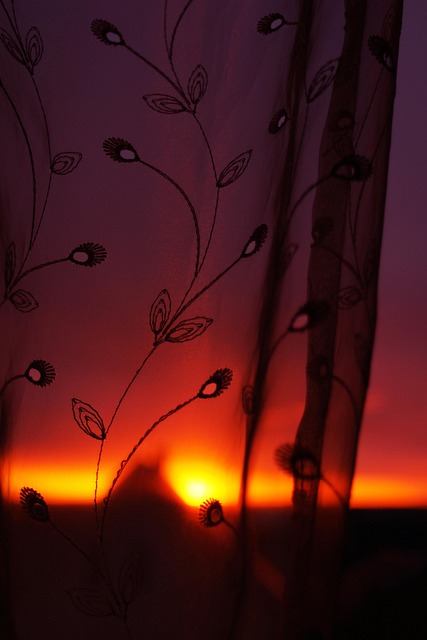 Free Sunset Sky photo and picture