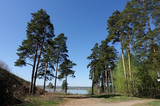 El Parque, Estanque, Árboles, Cielo