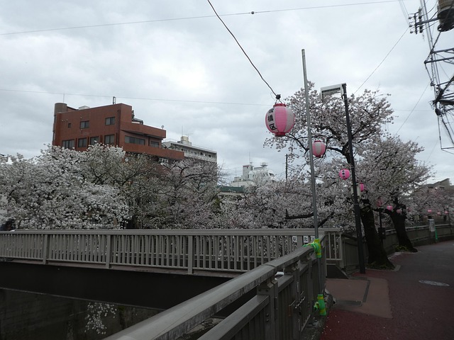 Free Tokyo Itabasi photo and picture