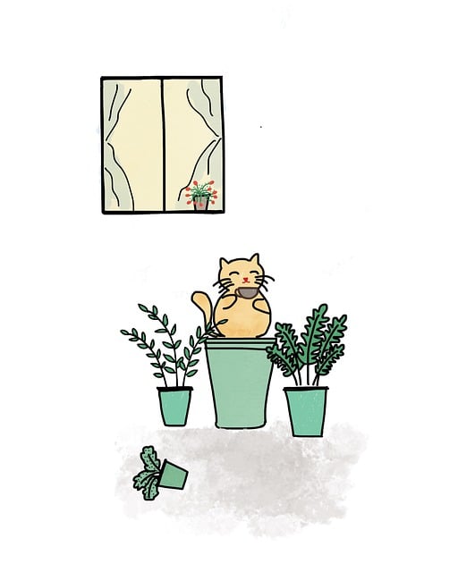 Kat, Koffie, Raam, Planten