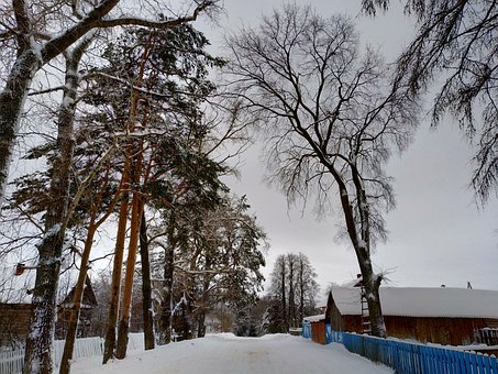 Invierno, Aldea, Árboles, Rusia, Paisaje