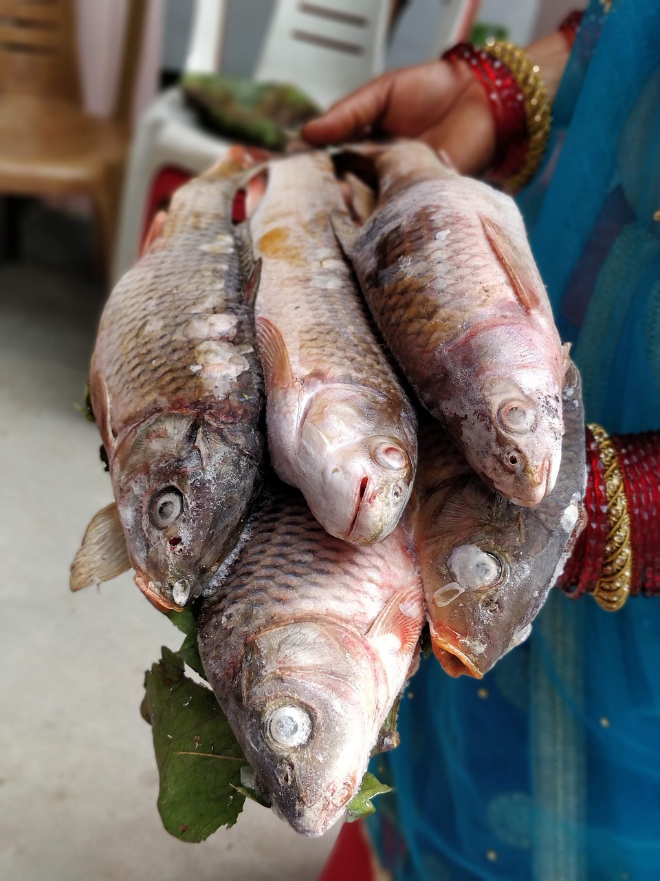 Rapti Truite Viande Crue - Photo gratuite sur Pixabay - Pixabay