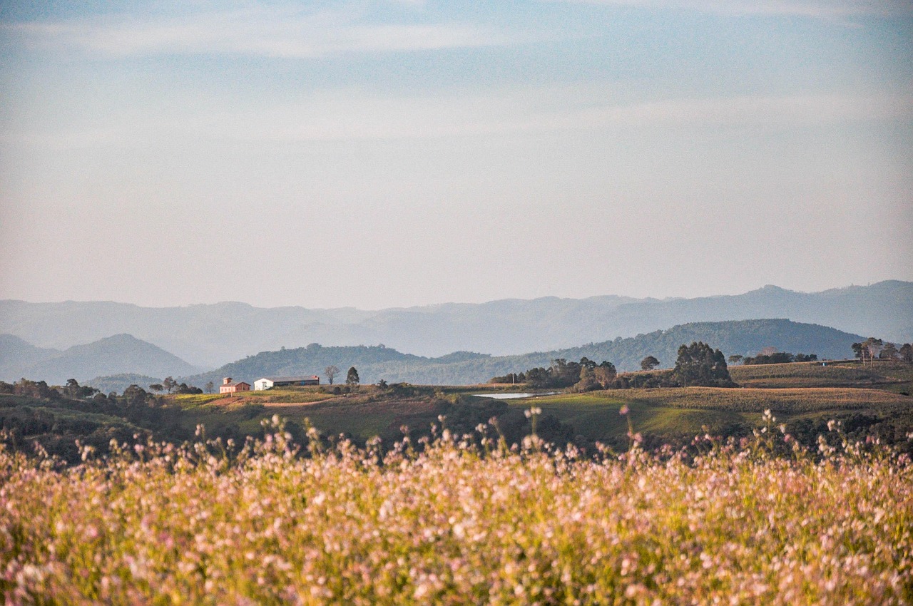 Mountain - free online jigsaw puzzle photo