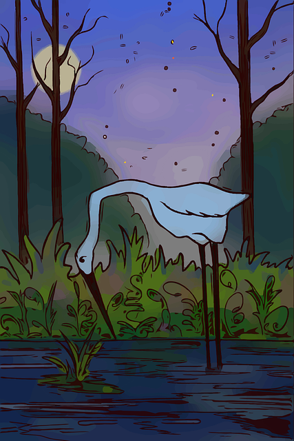 Free heron bird wild illustration