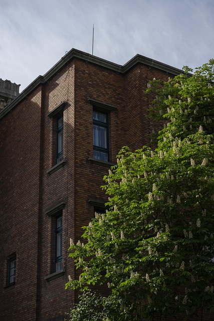 Free Building Brick photo and picture