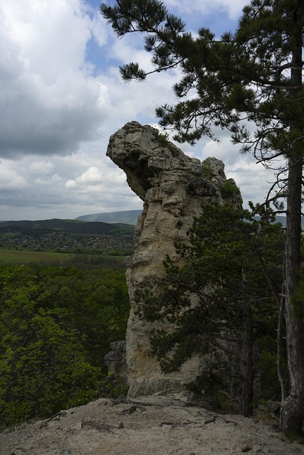 Free Cliff Wood photo and picture
