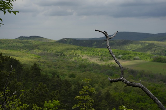 Free Hills Storm photo and picture