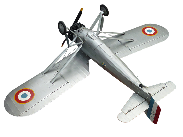 Free plane aerobatic airshow illustration