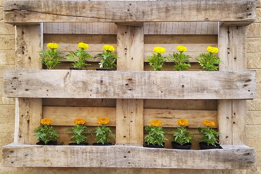 Free Flowers Spring photo and picture